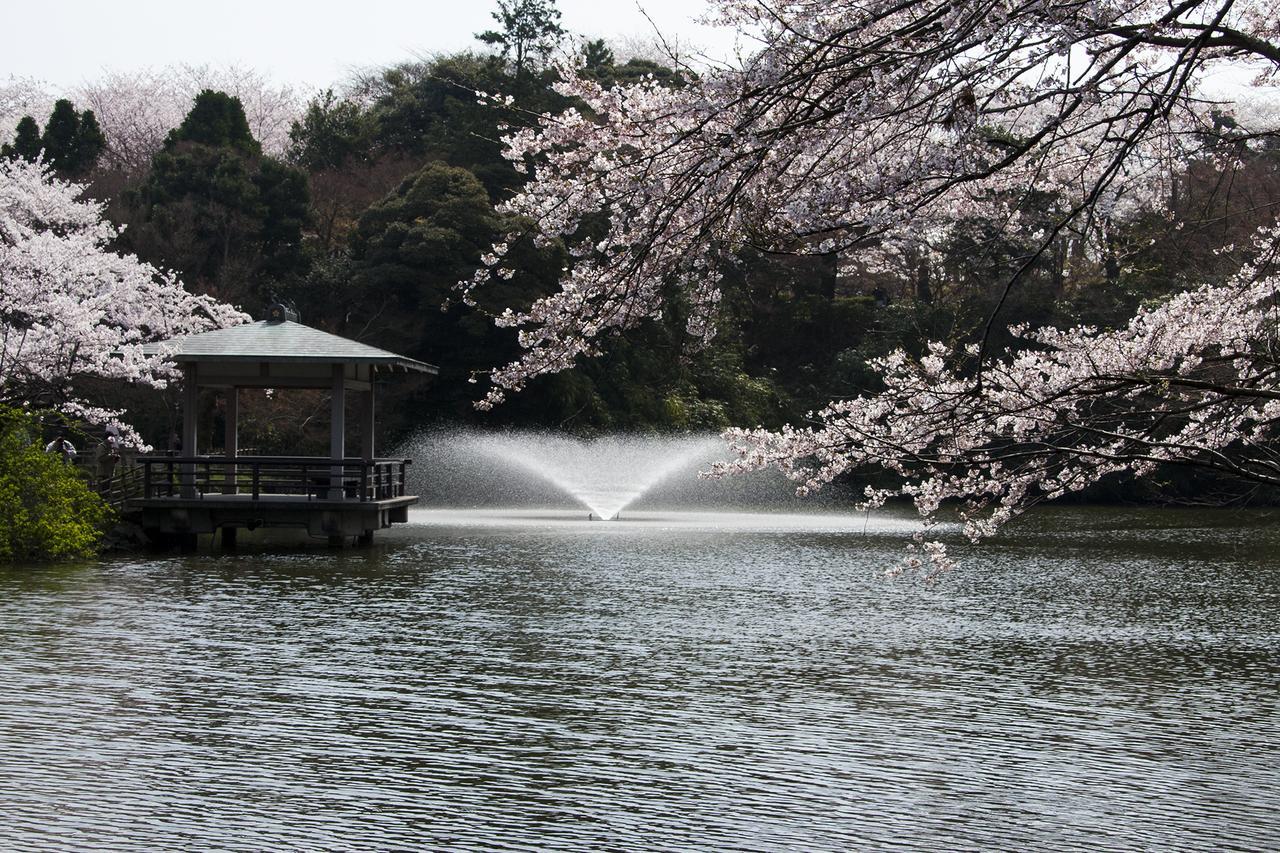 Villa Maidohaya Fukutatei Takaoka Exterior foto